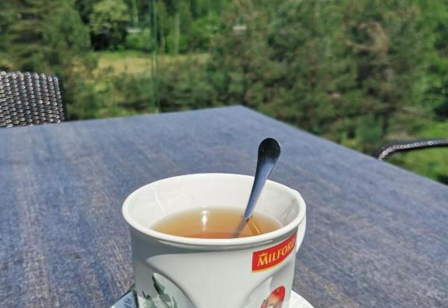 Divčibare Jezero apartman 25