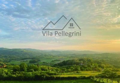 Vila Pellegrini