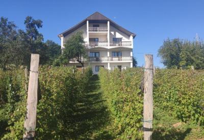 Apartmani Stevanović