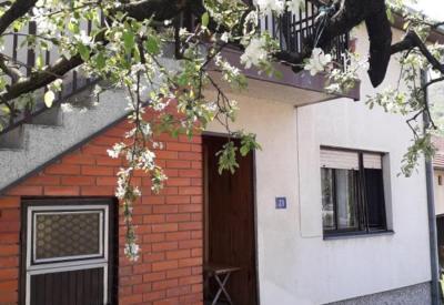 Rakić apartman