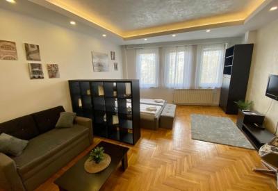 Apartment ARENA 28