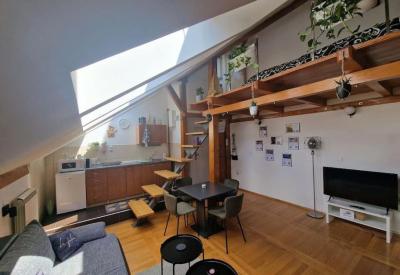 Captain Misha's place