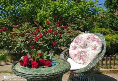 KosMajDan Belgrade, Sopot