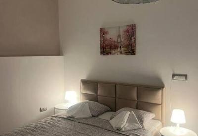 Sany Center Apartment