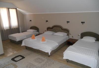 Guest house Vila Bor