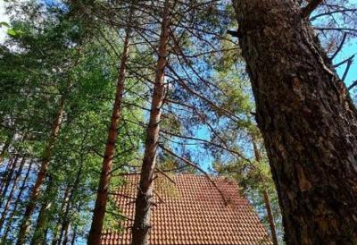 PLANINSKA VILA SMIGIC